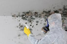 Best Basement Mold Removal  in Broadway, VA